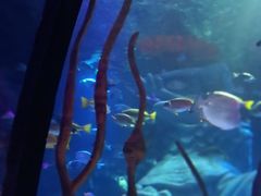 -沈阳海洋探索中心