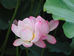 -重元寺