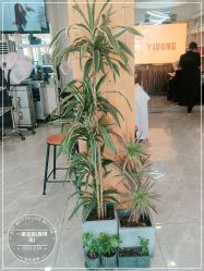 -一東造型烫发染发