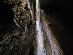 -鲁山国家森林公园