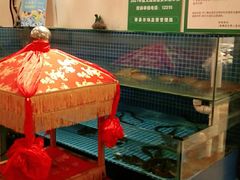 -皖小斌·小葱伴豆腐(丰收路店)