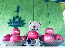 -一花一叶瑜伽生活馆