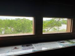 -华侨城湿地公园