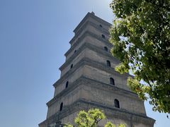 -大慈恩寺(大雁塔)