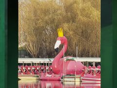 -莲花池公园