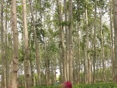 -仁和公园(顺义区)