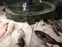 -蓝海大饭店·渔歌舫(黄岛店)
