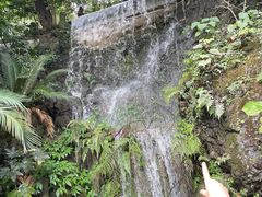 -黔灵山公园