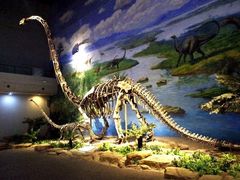 -自贡恐龙博物馆