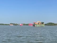 -溱湖国家湿地公园