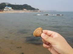 -老虎石海上公园