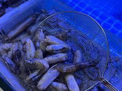 -威海渔村(静安旗舰店)