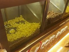 -栗妃·贡爪(文化宫店)