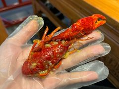 -红胖胖龙虾王·本地菜