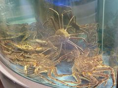 -海底捞大排档火锅(打浦路店)