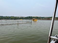 -廊坊文化艺术中心