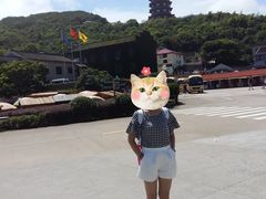 -普陀山风景区-佛顶山