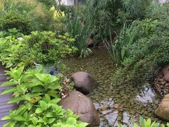 -活水公园