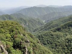 -牛背梁国家森林公园