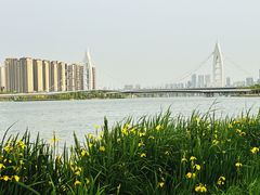 -西安浐灞国家湿地公园