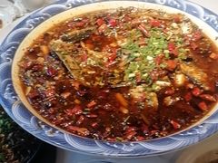 -新概念来凤鱼(璧山店)