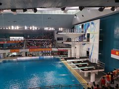 -重庆市奥林匹克体育中心-游泳跳水馆