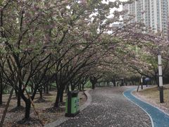 -苏州河梦清园环保主题公园