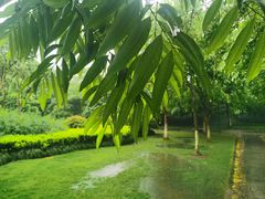 -杭州城北体育公园