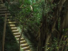 -乌山风景区