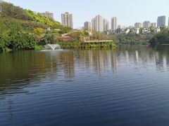 -重庆彩云湖湿地公园