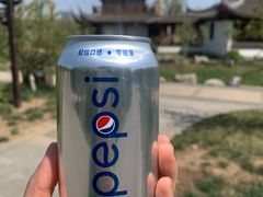 -水西公园