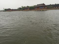 -杭州湾海上花田景区