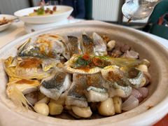 普宁豆酱焗大黄鱼-海味观(老西门店)