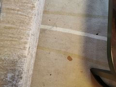 -西宁福茵长乐国际大酒店