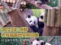 -成都大熊猫繁育研究基地