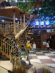 -鲁比猴非洲探索部落(喜盈门店)