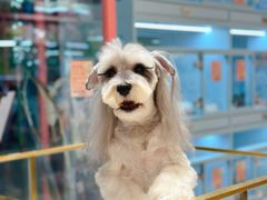 -FAELING PETS美天灵宠物(合生汇店)