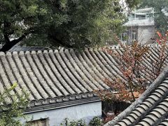 -四喜小胖·北京涮肉(五道营店)