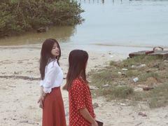 -北海金海湾红树林生态旅游区