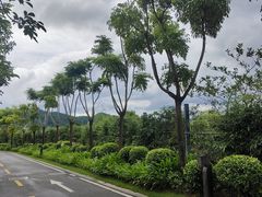 -广州从化都喜泰丽度假酒店温泉