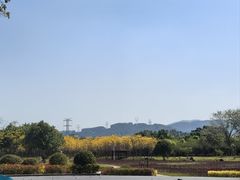 -云洞岩风景区