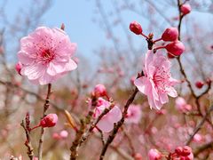 -白塘生态植物园