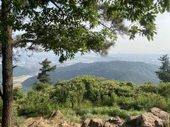 -惠山国家森林公园