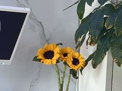 -万达广场(松江店)