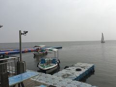 -碧海金沙