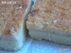 椰丝排--特写-上海哈尔滨食品厂(汇联商厦店)
