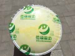 -德禄酸奶(莫家街店)