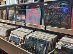 -浣熊唱片店(上海影城店)