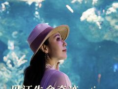 -圣淘沙名胜世界