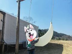 -黄陂区野村谷景区